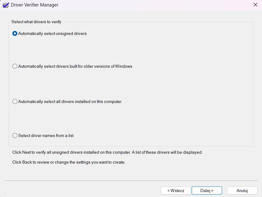 driver verifier
